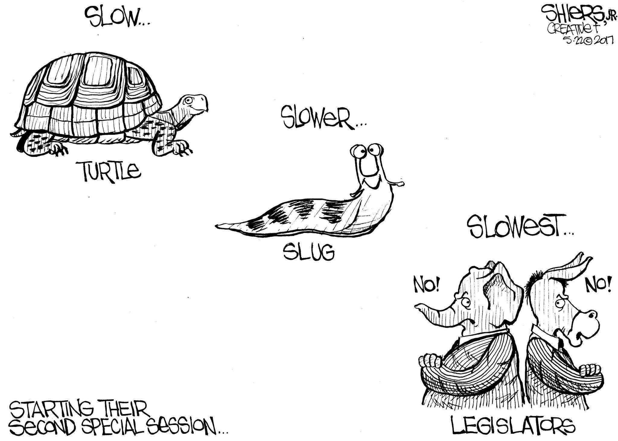 Slow, Slower, Slowest Cartoon BothellKenmore Reporter