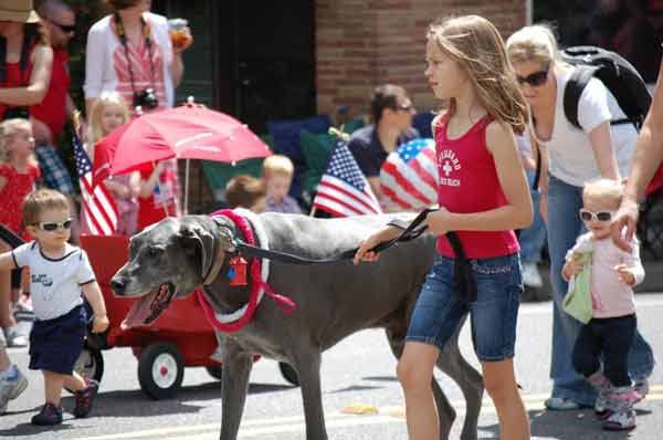 Dogs and humans alike participated in this year's Bothell downtown Fourth of July parades
