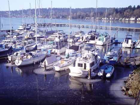 Boats have been ice-bound at the Harbour Village Marina in Kenmore the last four days