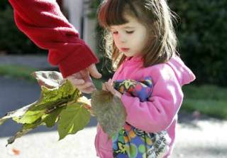 Savannah Saul shows her leaf collection to her mother