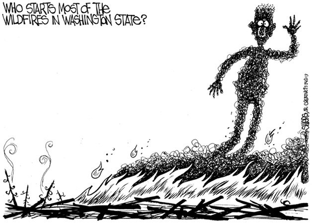 Who starts most of the fires in Washington State? | Cartoon for July 29
