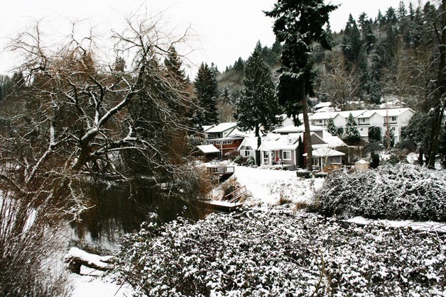 Snow hits the Bothell area and sticks on Dec. 20.