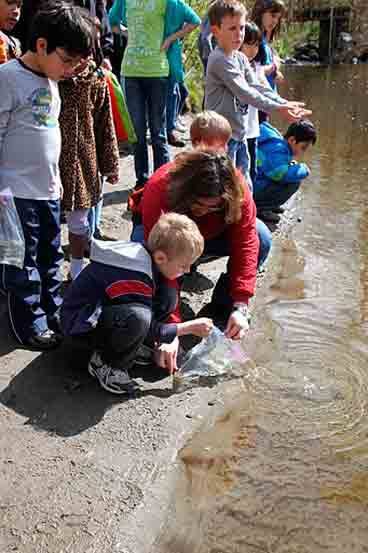 Kenmore Elementary students raised salmon from eggs as part of the Department of Fish and Wildlife 'Salmon in the Classroom' statewide program. They obtained the eggs from a hatchery in January and raised them in a 55-gallon tank at school. The students learned about the salmon life cycle