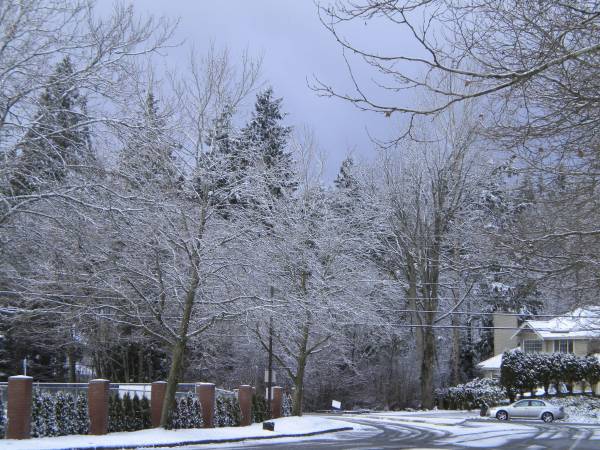 Here's a shot of the snow's aftermath at the Cedar Park Christian school on 112th Avenue Northeast in Bothell at 10 a.m. this morning.