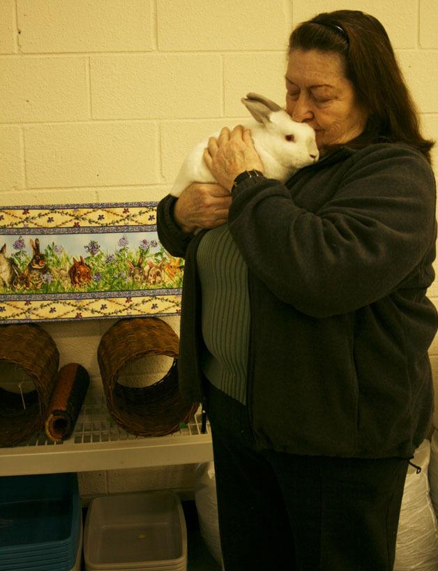 Sandi Ackerman holds one of the rabbits available for adoption at her store Rabbit Meadows that just opened in Kenmore.