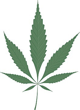 The Washington State Liquor Control Board regulates marijuana licenses.