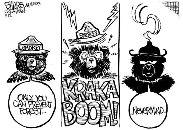 Only you can prevent forest fires | Cartoon for Aug. 14