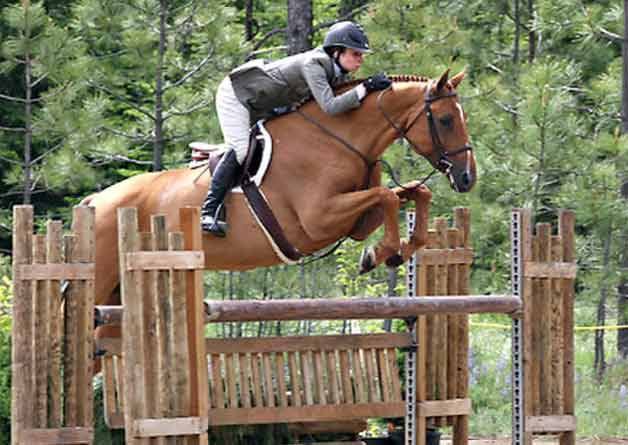 Jodie Davis during her horse-riding days.