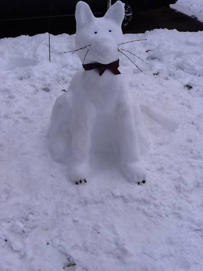 Bothell High senior Alexandra Graff and her family spent one of their days off making this snow cat.