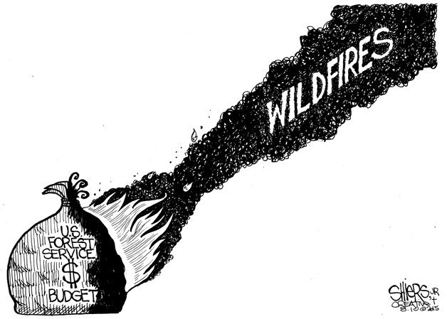 U.S. Forest service budget | Cartoon for Aug. 13