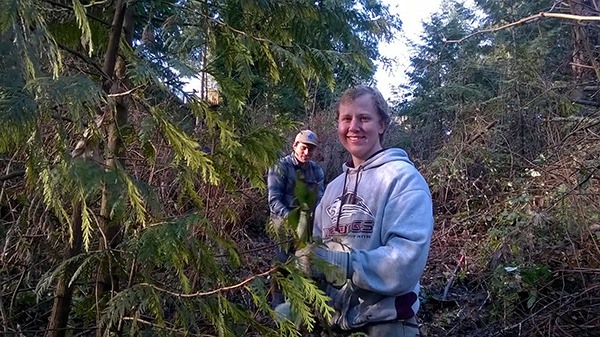 University of Washington Bothell students Nicholas Vradenburg (left) and Kai Farmer (right) work to restore a section of the North Creek Forest.