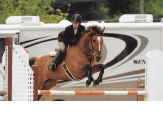 Michelle Abendroth of Kenmore and her pony Finesse clear a jump at the Thunderbird Equestrian Show Park in Langley