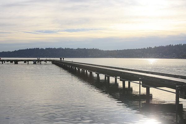 A view from the dock at Log Boom Park in Kenmore