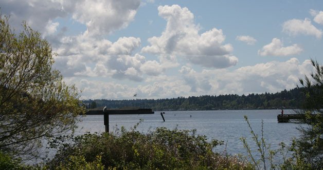 Kenmore's Log Boom Park