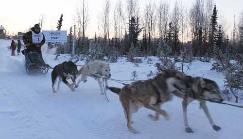 Kenmore native Brennan Norden takes off from the starting line during a previous Alaskan dog-sled race. He’ll compete in the famed 1