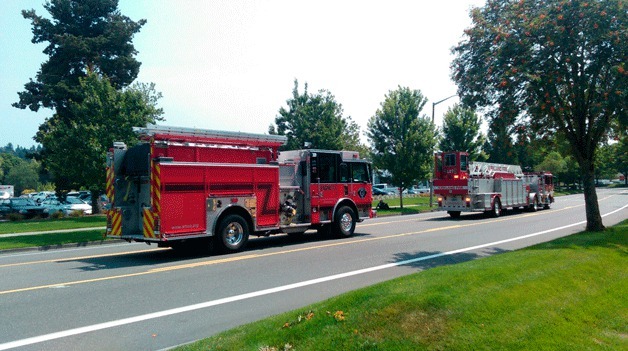 Bothell fire was called to an ammonia leak in the North Creek Parkway area of Bothell on Wednesday.