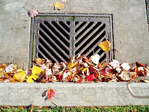 Bothell has an Adopt-A-Drain program.