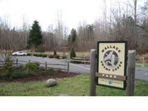 Kenmore City Council voted against building a sports field at Wallace Swamp Creek Park. Environmental groups are pleased with the decision