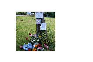 Friends and neighbors placed flowers and notes at Walter King’s apple tree in Bothell last week. King died July 18.