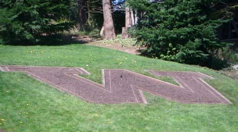 At this year's Earth Day Celebration on the University of Washington