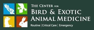 The Center for Bird and Exotic Animal Medicine - Contributed art