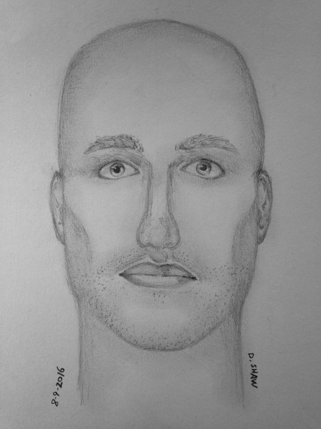 Sketch of suspect