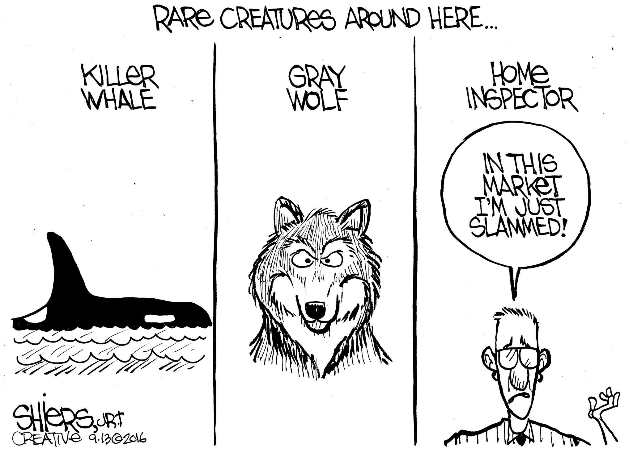 Rare creatures around here | Cartoon for Sept. 16 - Frank Shiers