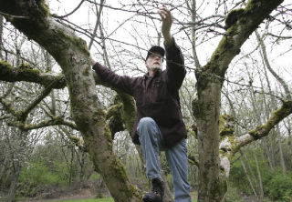 Don Ricks explains how to prune an apple tree at Saint Edward State Park in Kenmore. “It’s a release of tension for me