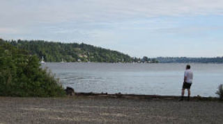 A park user takes in the view from the beach at Log Boom Park