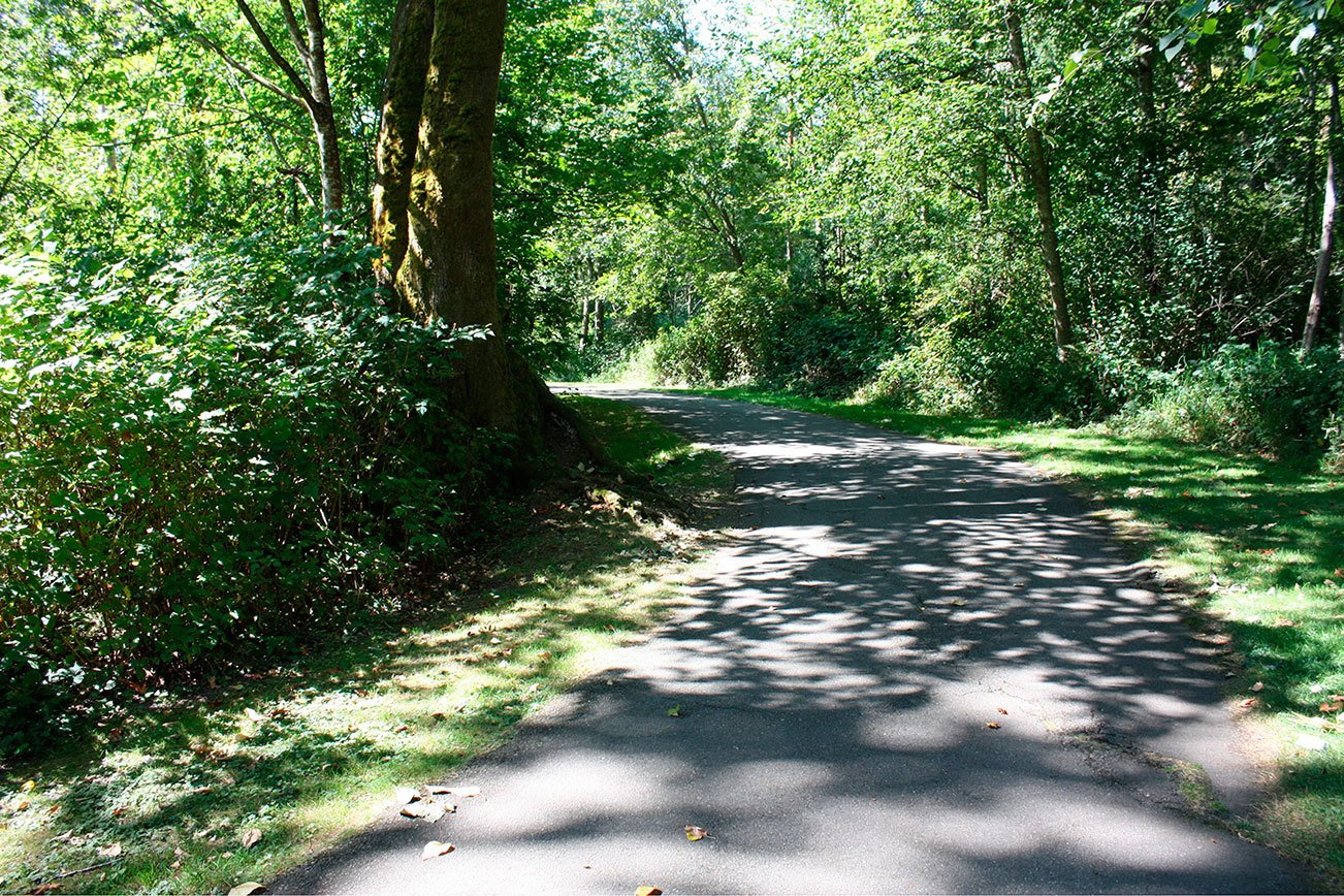 Join Kenmore mayor in planting trees at Wallace Swamp Creek Park