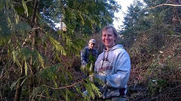 University of Washington Bothell students Nicholas Vradenburg, left, and Kai Farmer, right, work to restore a section of the North Creek Forest. Reporter file photo