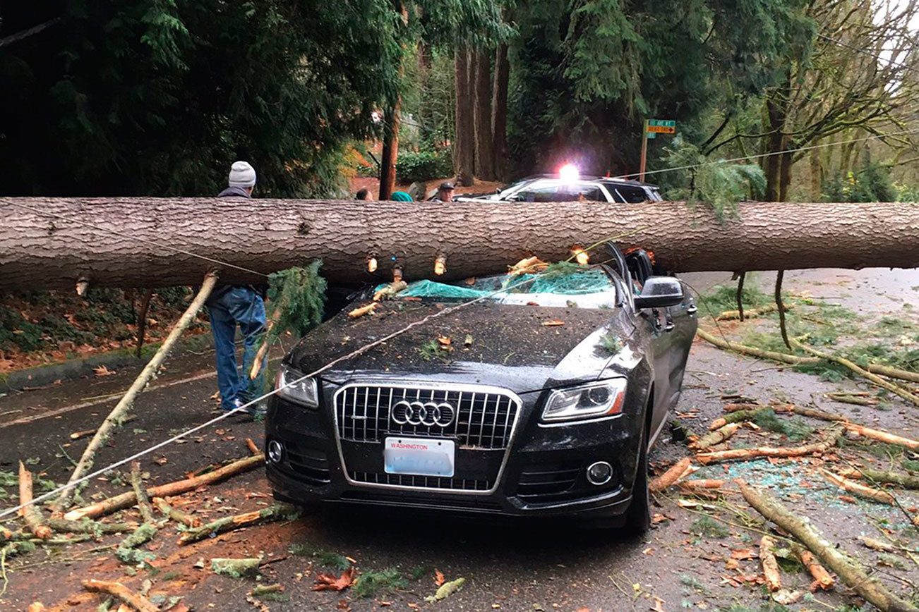 Tree falls on car in Bothell with two inside