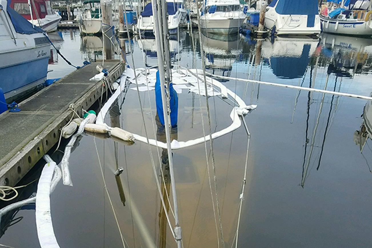 Sailboat sinks in Kenmore marina