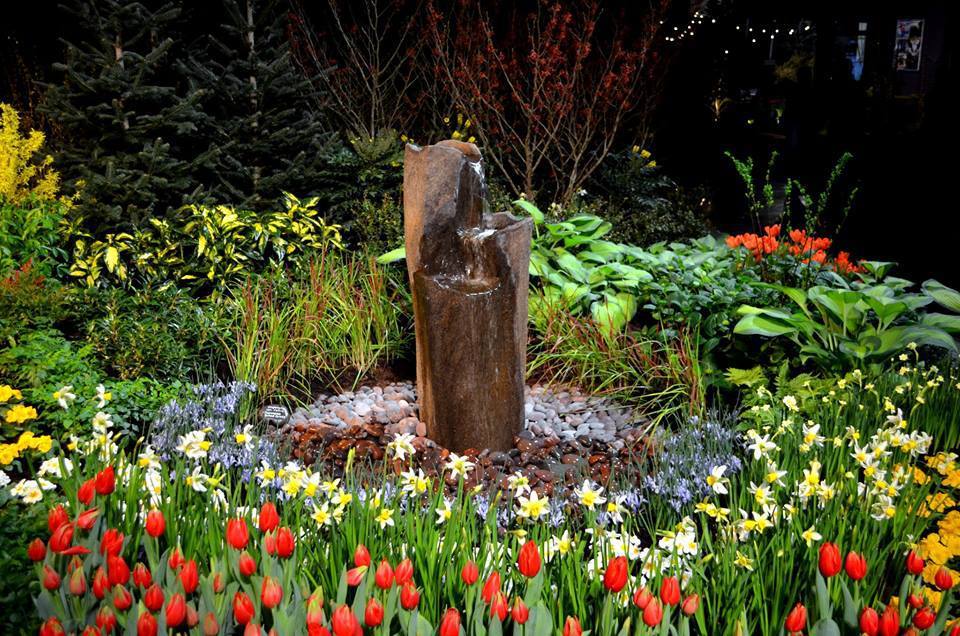 Bothell-based Fancy Plants Gardens to be featured at Northwest Garden Show. Contributed photo