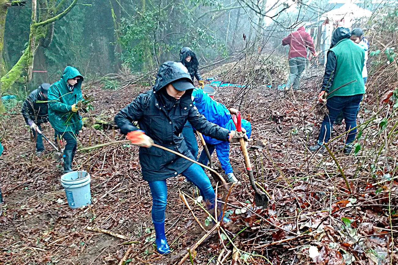 L-wippers help out in North Creek Forest. Contributed photo