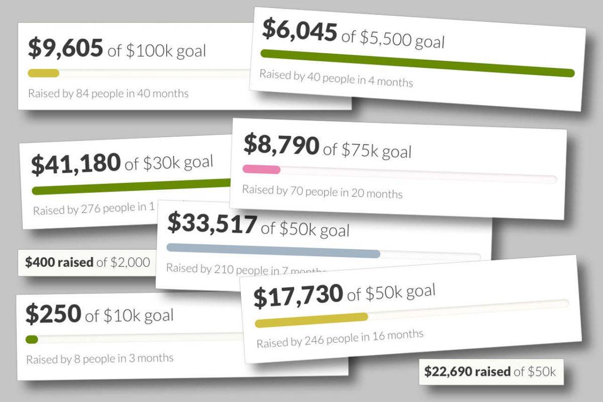 Measures of success from a selection of GoFundMe campaigns by or for people in Snohomish County.