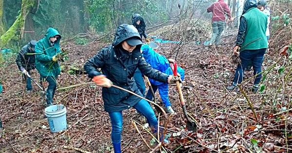 Volunteers work in the North Creek Forest. Contributed photo