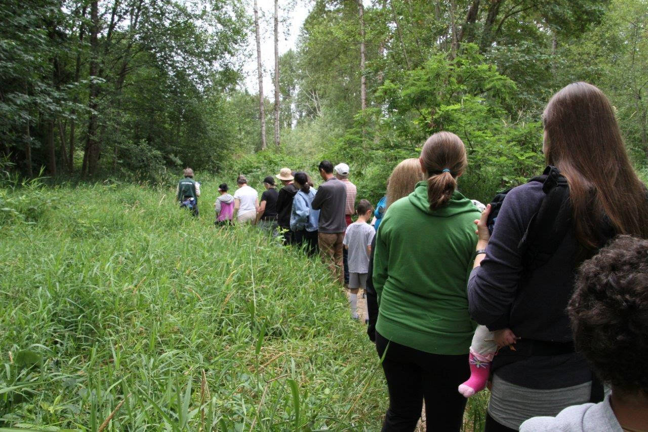 Two-mile nature walks will be held on the first Monday of the month from May through October at Wallace Swamp Creek Park in Kenmore. Contributed photo