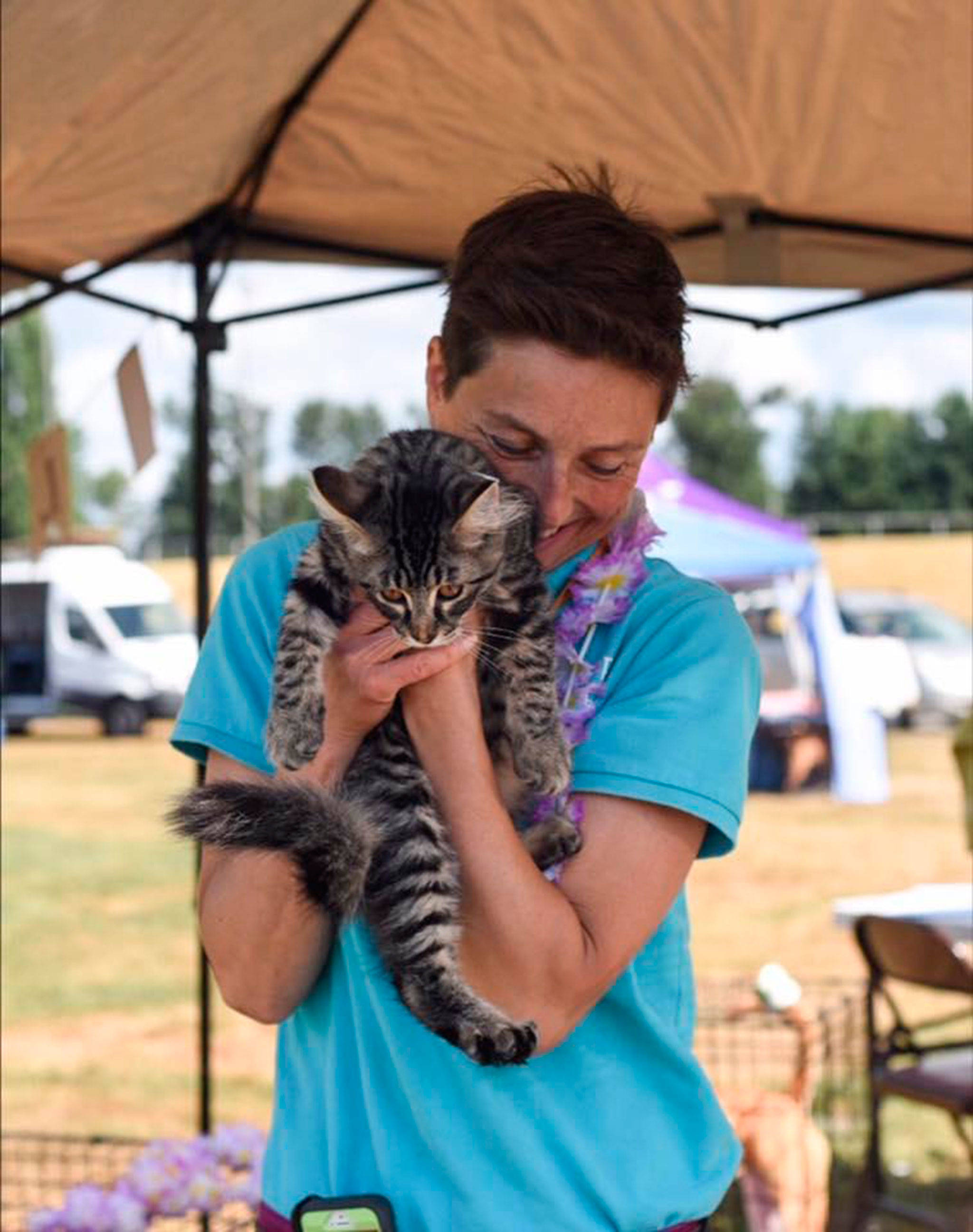 A few of the cats and dogs that were available for adoption at the Bow Wow Meow Luau adoption event.