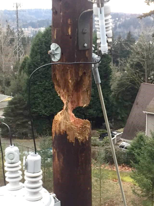 A bird apparently caused damage to a utility pole in the Bothell area earlier this year. Photo courtesy of Snohomish County Public Utility District
