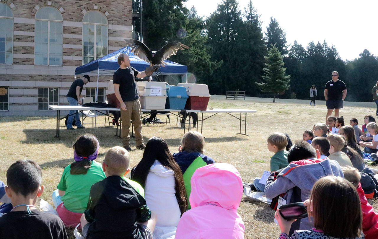 Woodmoor students busy as bees during Outdoor Education Day