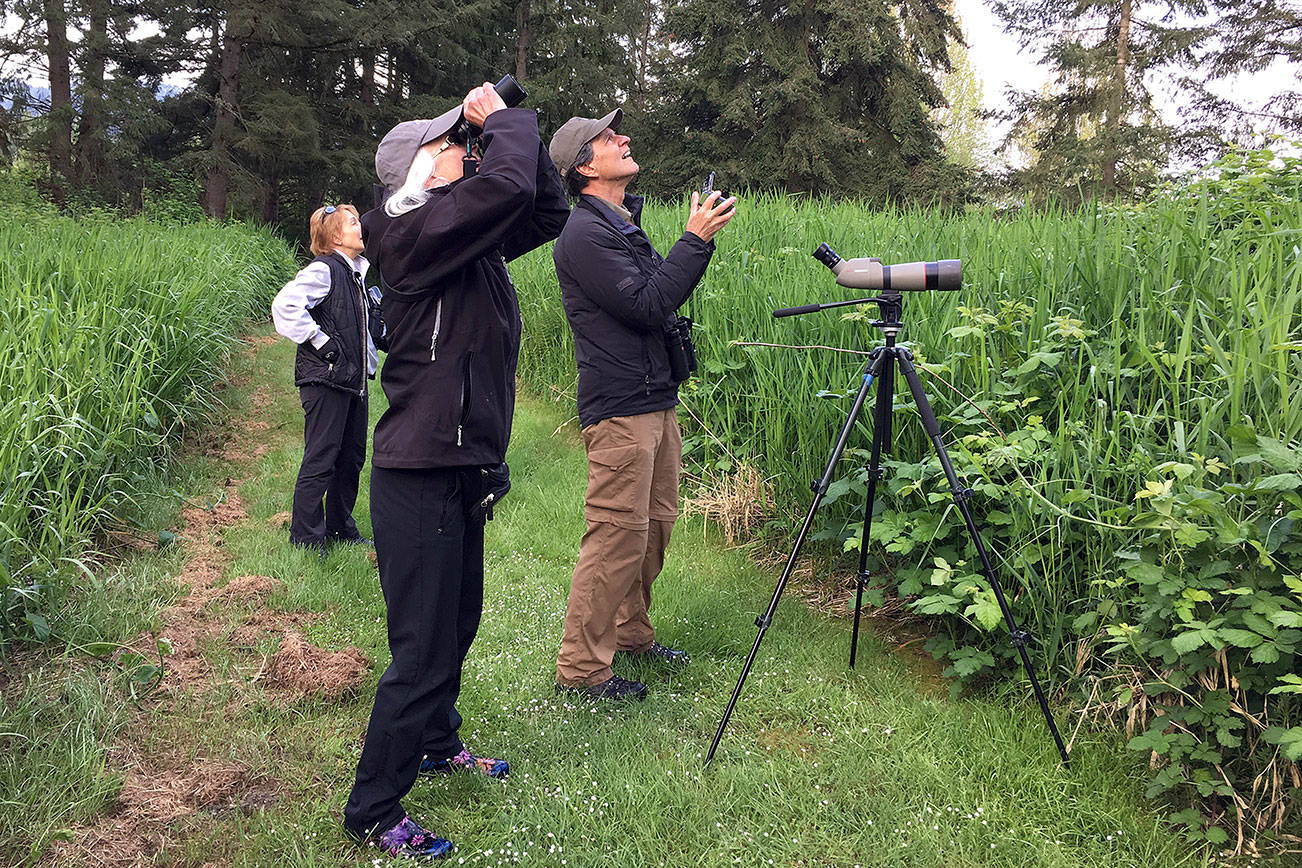 Eastside Birders participate in the 2017 Karismatic Kestrels Birdathon. Locals spotted and recorder 109 bird species throughout Eastern Washington during a single day in May. Mick Thompson, Eastside Audubon