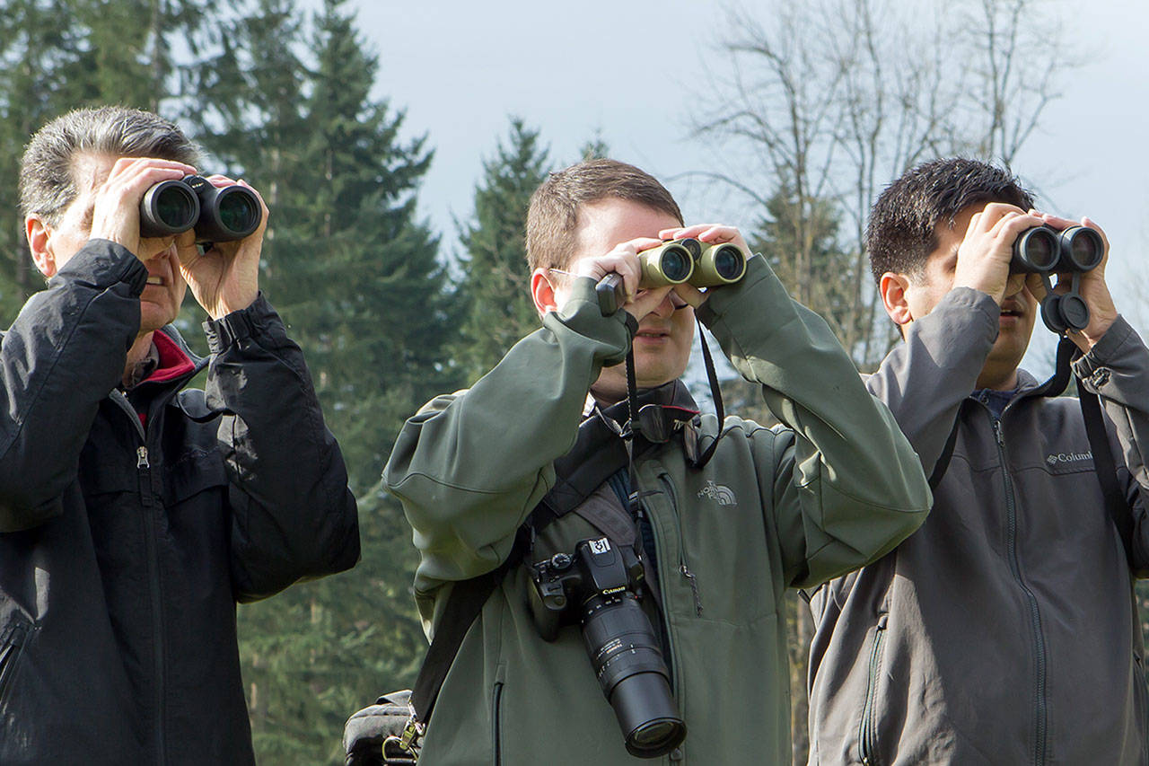 Andy McCormick, Seth Truscott and Amit Kulkarni watch birds at an Eastside Audubon event in March 2013. Mick Thompson, Eastside Audubon