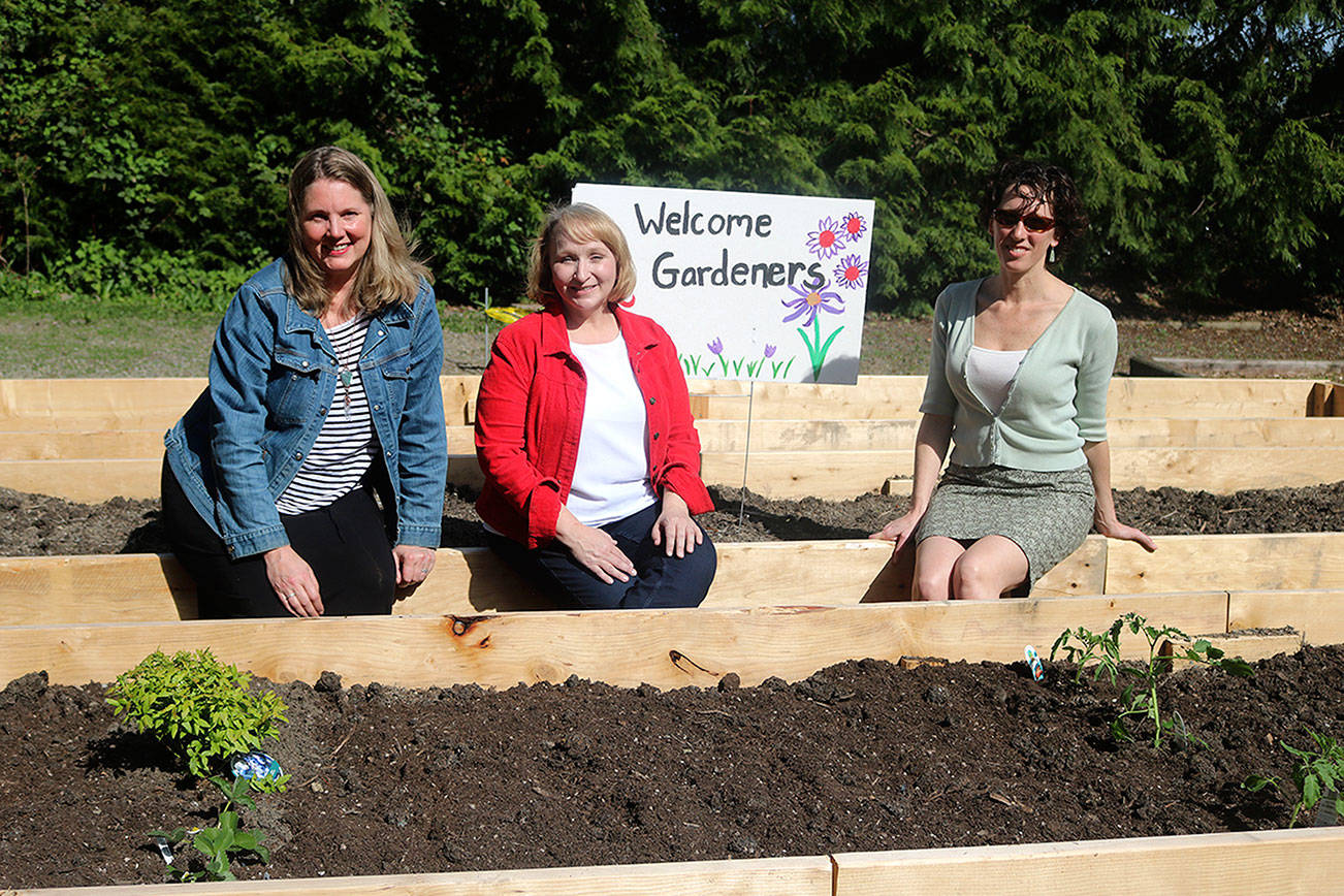 Kenmore Community Garden has goals to feed the hungry, connect neighbors