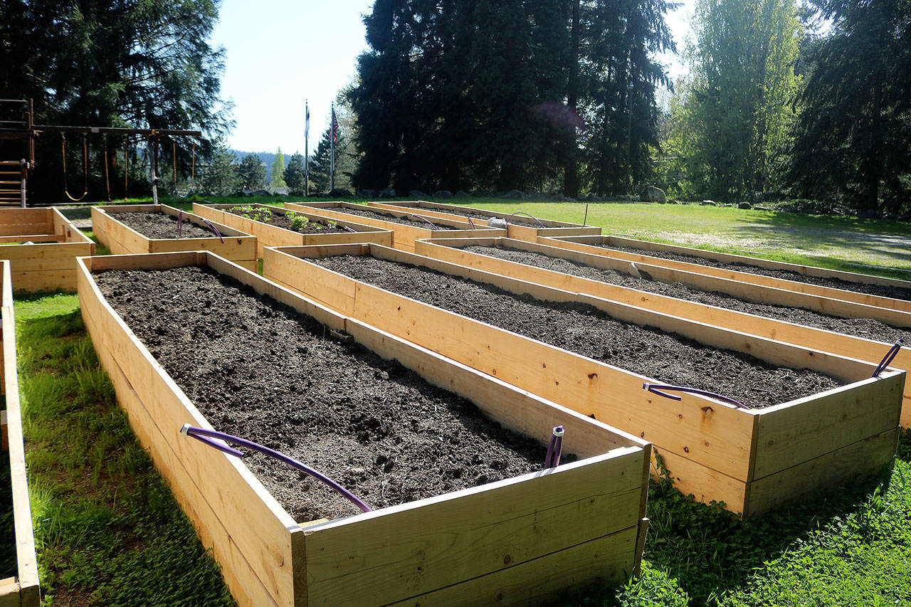 Kenmore Community Garden has goals to feed the hungry, connect neighbors