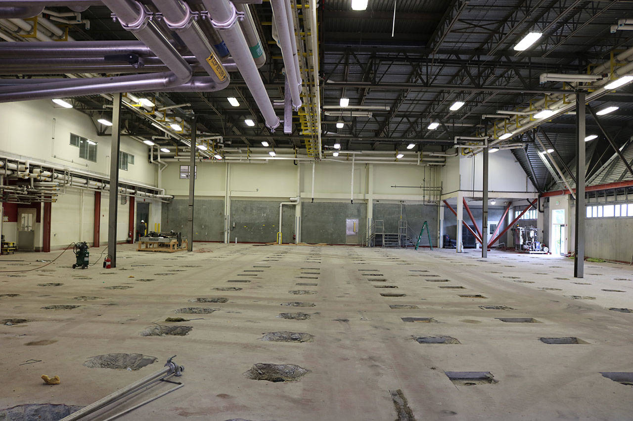 A view of the warehouse which will be converted into a winery by DeLille Cellars at the old Redmond brewery in Woodinville. This building formerly housed beer brewing vats which were removed, temporarily leaving large holes in the concrete floor. Aaron Kunkler/Staff photo