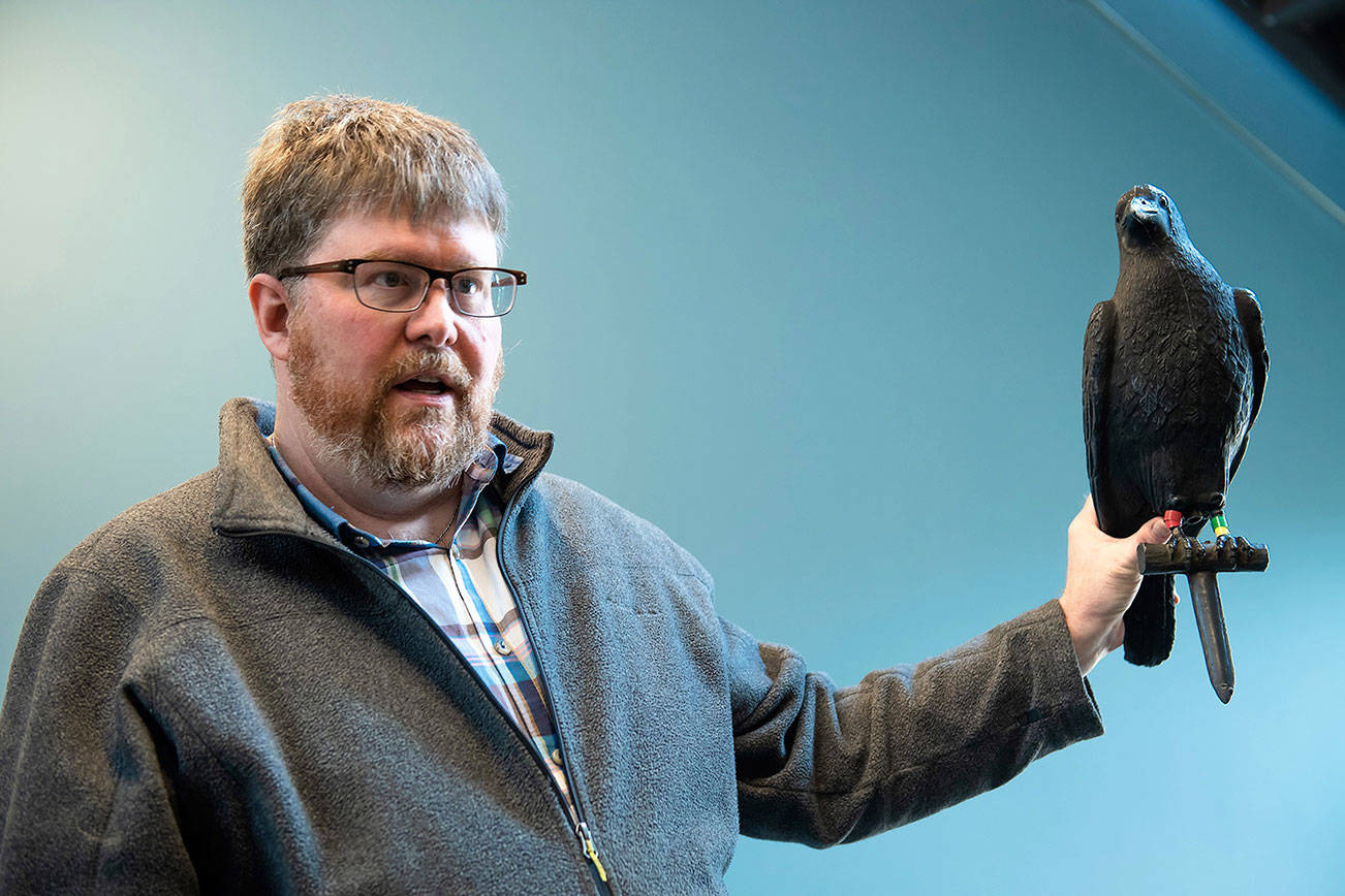 Doug Wacker, assistant professor in the School of Science, Technology, Engineering and Mathematics at the University of Washington Bothell, will speak on crows at the Pub Night Talk. Photo courtesy of UW Bothell