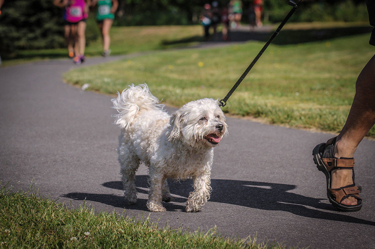 King County Sheriff’s deputies to patrol local parks