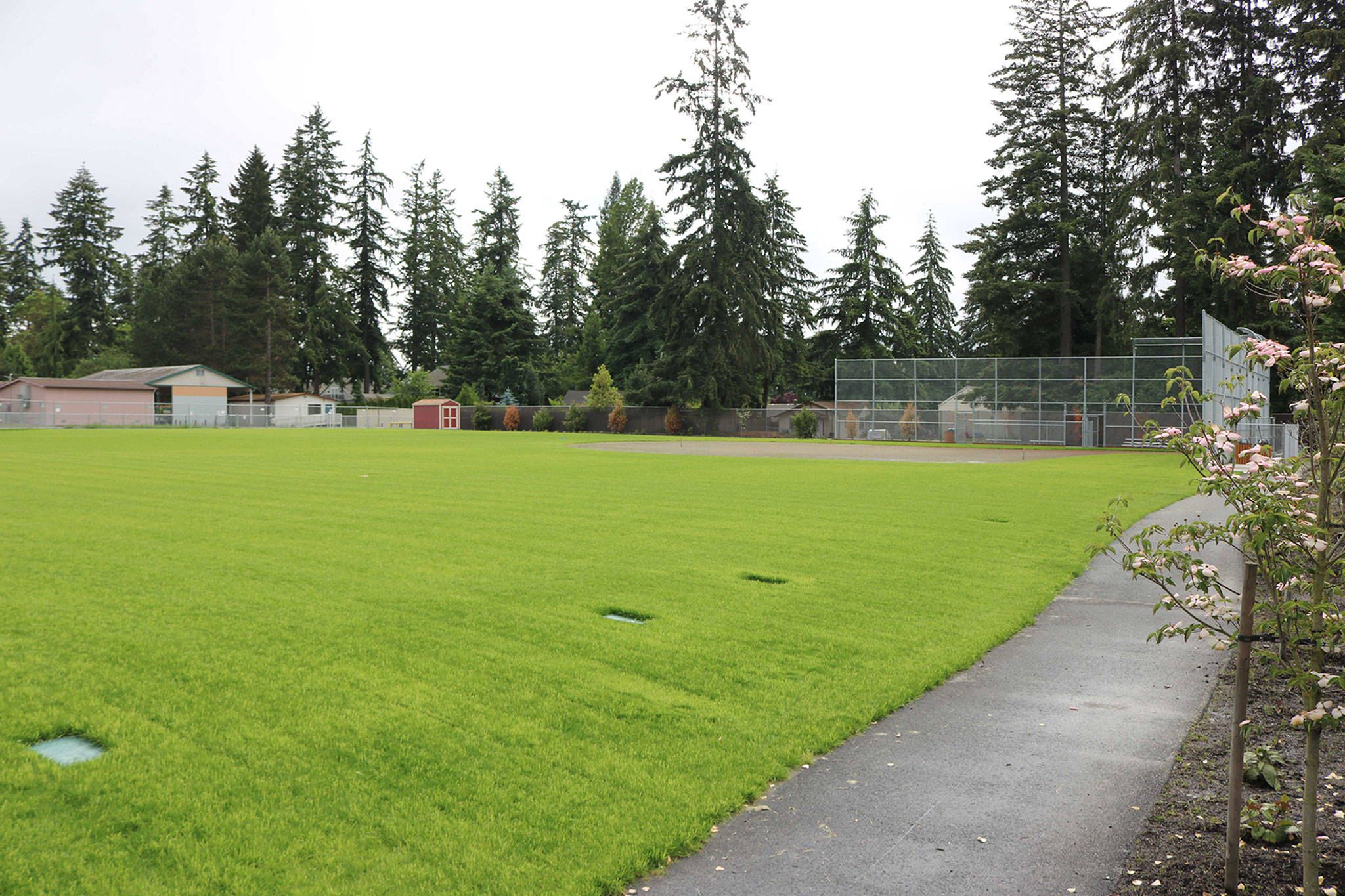 The ballfield at Moorlands Park will be the first owned and operated by the city of Kenmore. Photo courtesy of the city of Kenmore