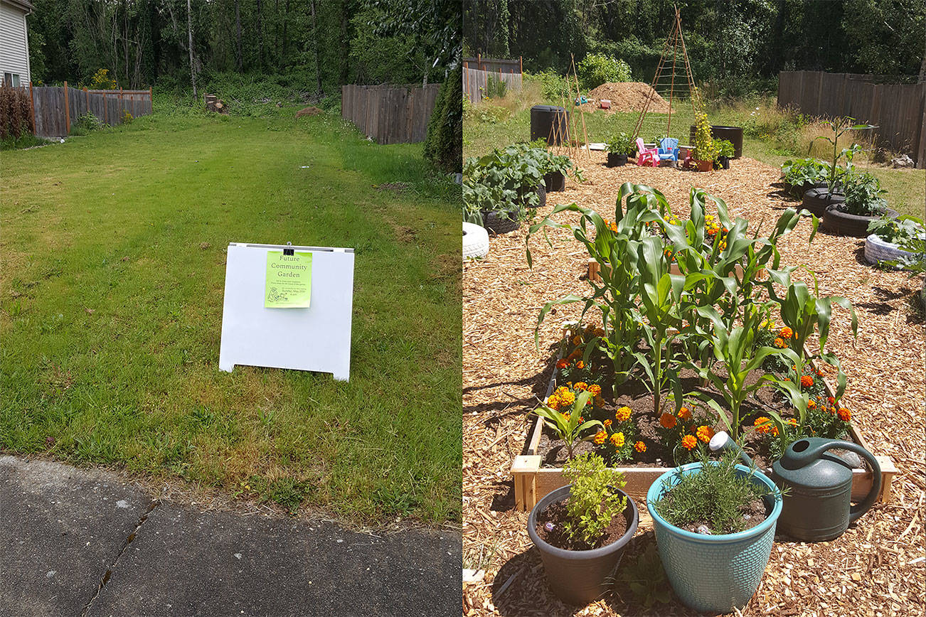 Bothell neighbors plant seeds for vegetables and community